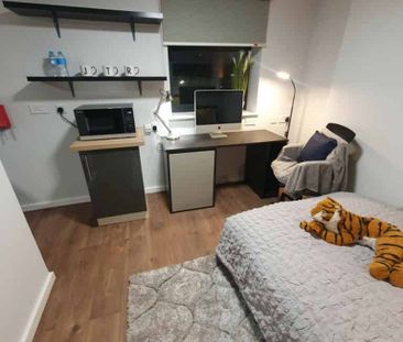 Deluxe Plus Studio - Photo 6