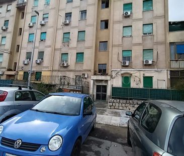 Casa in affitto - Largo Zancle, Palermo (rif. 22/2026) - Foto 2