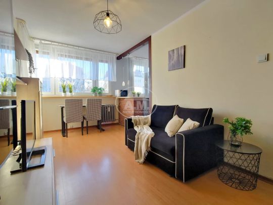 MIESZKANIE PRZYJAZNE KOTOM, 2 POKOJE, BALKON - Zdjęcie 1