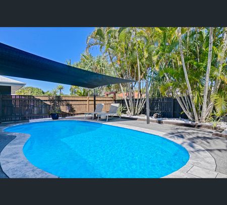 29 Pine Avenue, Tewantin, Qld 4565 - Photo 3