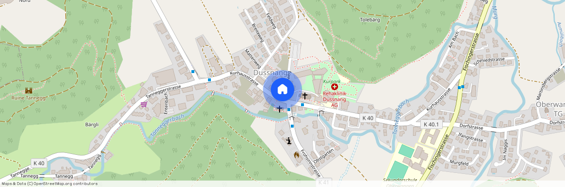 8374, Dussnang, Kurhausstrasse, 38