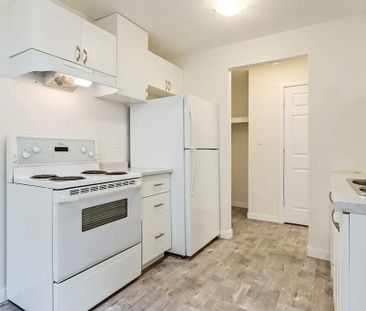 Renovated Suite - 1 Bedroom - Photo 4