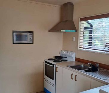 Sunny, warm, Hillcrest Home fully furnished - Photo 3