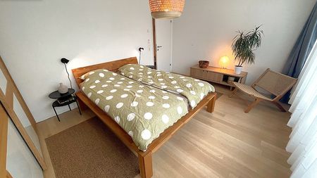 4½ Zimmer-Wohnung in Basel - Bachletten/Gotthelf, möbliert, auf Zeit - Photo 5