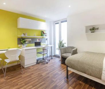 Premium Lower Floor - Photo 5