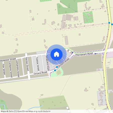 13 Greenbrier Street Westgate, Westgate, Waitakere City