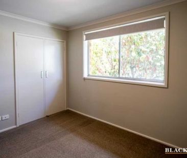 Renovated Family Home in a Prime Woden Valley Location - Photo 6