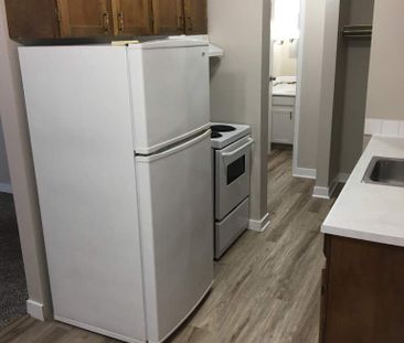 Small Pet Friendly Well Maintained 2 Bedroom Suite - Photo 5