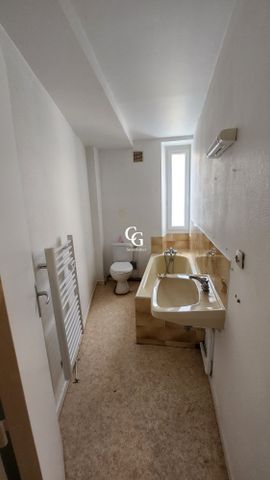 Location Appartement 1 pièce 28m² NANTES 44100 - Photo 3
