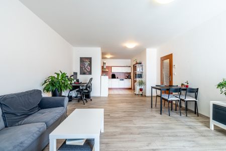 Pronájem bytu 2+kk 79 m², Haškova 153, Brno - Fotografie 3