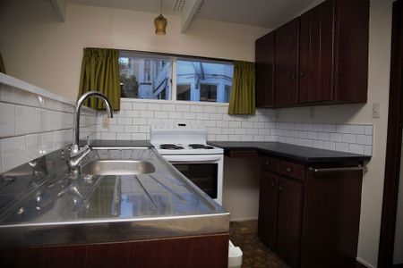 Tidy 2 bedroom apartment on Cargill Street! - Photo 4