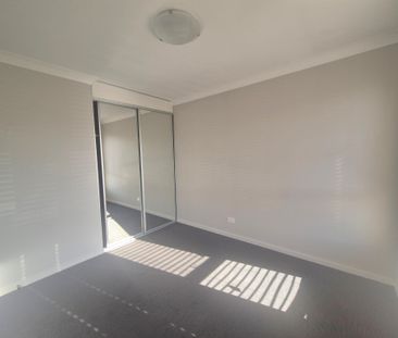 Beautiful Basil - Photo 5