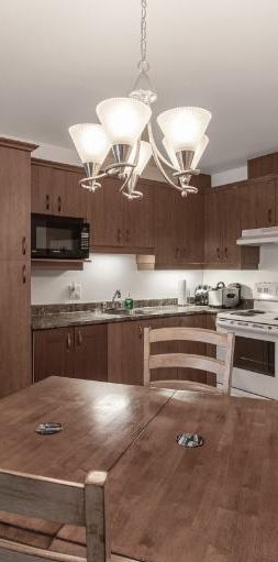 Appartement 4 ½ à louer Lévis juin 2026 - Photo 1