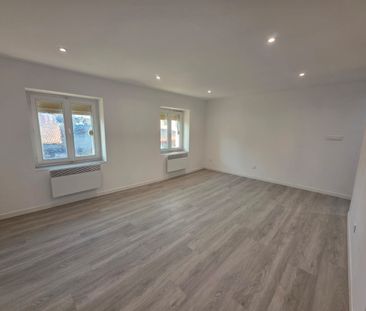 Location Appartement 3 pièces 50m² DANNEMARIE 68210 - Photo 5