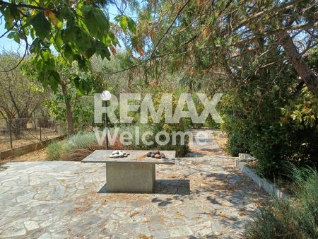 Μονοκατοικία 195 τ.μ. προς ενοικίαση - Photo 2