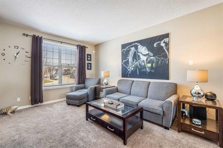 51 Skyview Point Road, Calgary - Photo 4