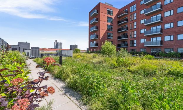 Moderne og lys 2-vær. lejlighed med eksklusiv beliggenhed over Herlev Bycenter - Photo 1