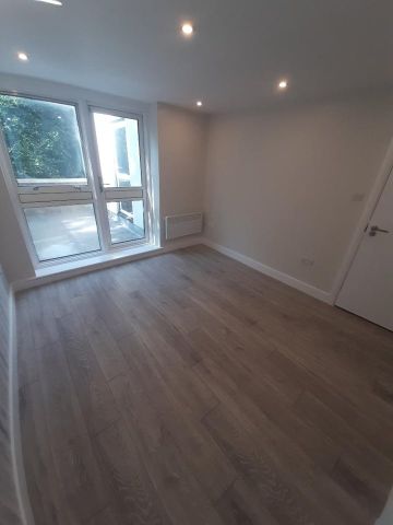 Studio Flat, Minster Rd, NW2 - Photo 3