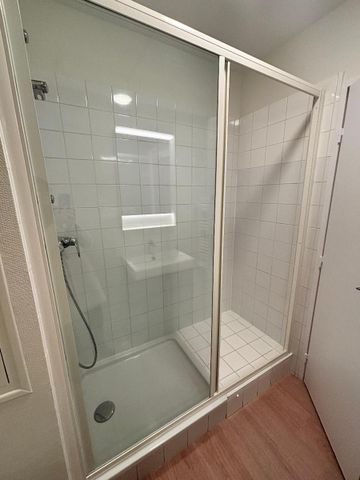 Location Appartement 1 pièce 39m² LA RICHE 37520 - Photo 5