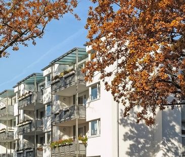 Wohnen auf dem Rabenberg: Lichtdurchflutet und naturnah - Photo 3