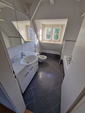 4 Zimmer, 250 m², 4. Stock - Photo 3