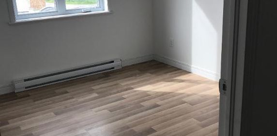 Superbe logement 3 1/2 + bureau à St-Nicolas, 1ier étage, climatisé, 2 STATIONNEMENTS EXTÉRIEURS INCLUS, LIBRE LE 1ier décembre 2025. - Photo 2