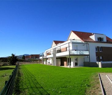 COLMAR/ Domaine des cépages - Photo 1