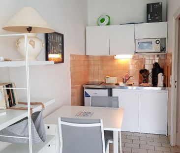 Location Appartement 1 pièce 20m² - Photo 4