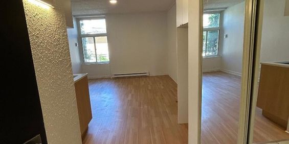 Studio - Saint-Charles-Borromée - $999 /mo - Photo 3