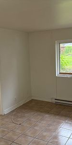 Beau 3 1/2 - Photo 4