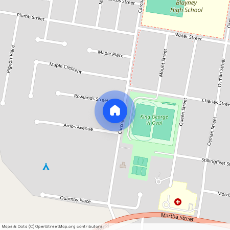 13 Carcoar Street, Blayney