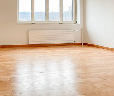 Sonnige Stadtwohnung - Foto 3