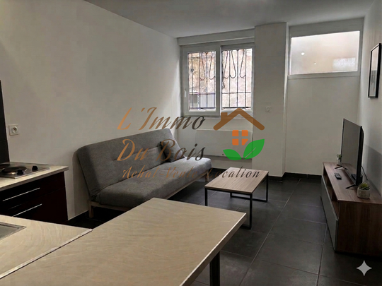 Location Appartement 1 pièce 25m² VIENNE 38200 - Photo 1
