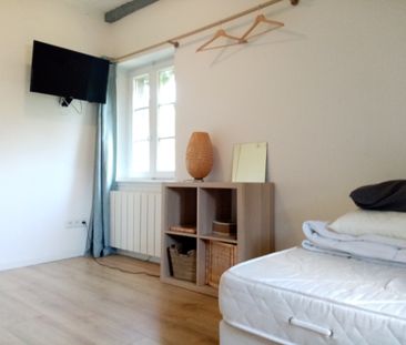 Location Appartement 1 pièce 10m² STRASBOURG 67000 - Photo 2