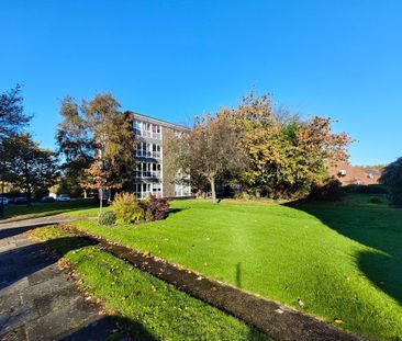 2 bedroom apartment to rent - Photo 2