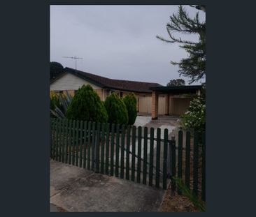 Fully Renovated 3 Bedroom House - Photo 6