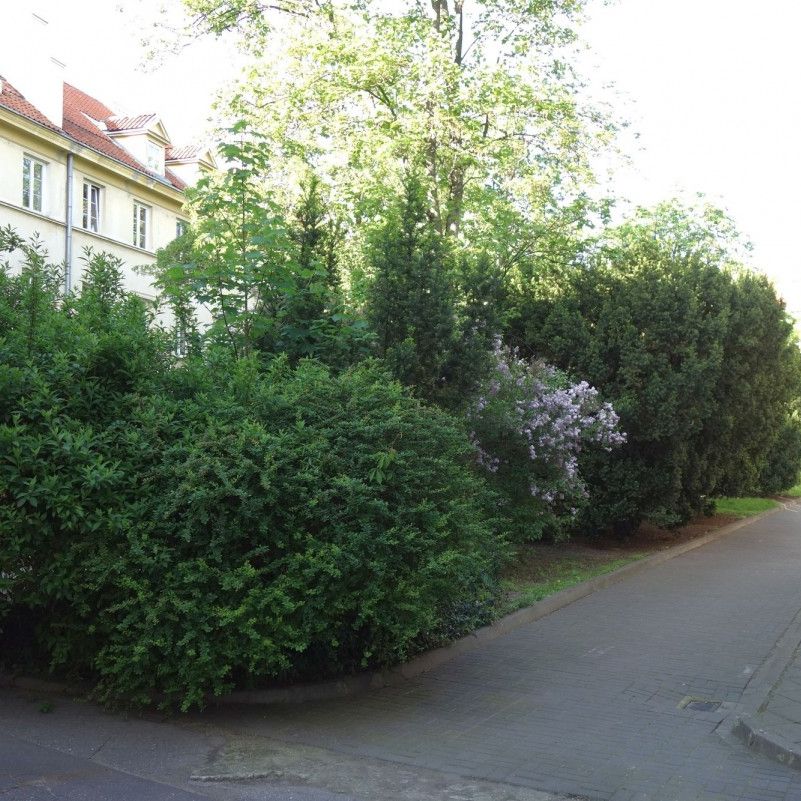 Ciche studio z doskonałą komunikacją - Фото 1