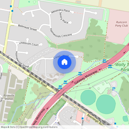 65 Corella Place, Qld 4113, Runcorn