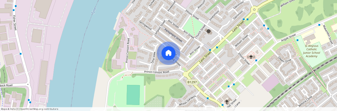 Victoria Street, Hebburn NE31