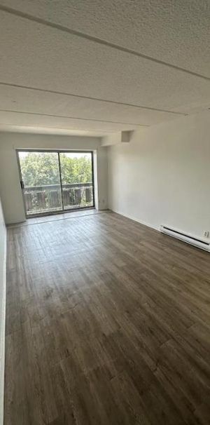 2 CH - 1 SDB - Gatineau - $1,699 /mo - Photo 1