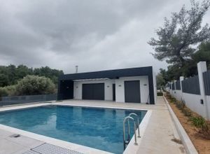 Μονοκατοικία για ενοικίαση - Μαρκόπουλο Ωρωπού, - Φωτογραφία 1