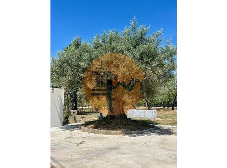 Faro, Faro 8800-102 - Photo 5