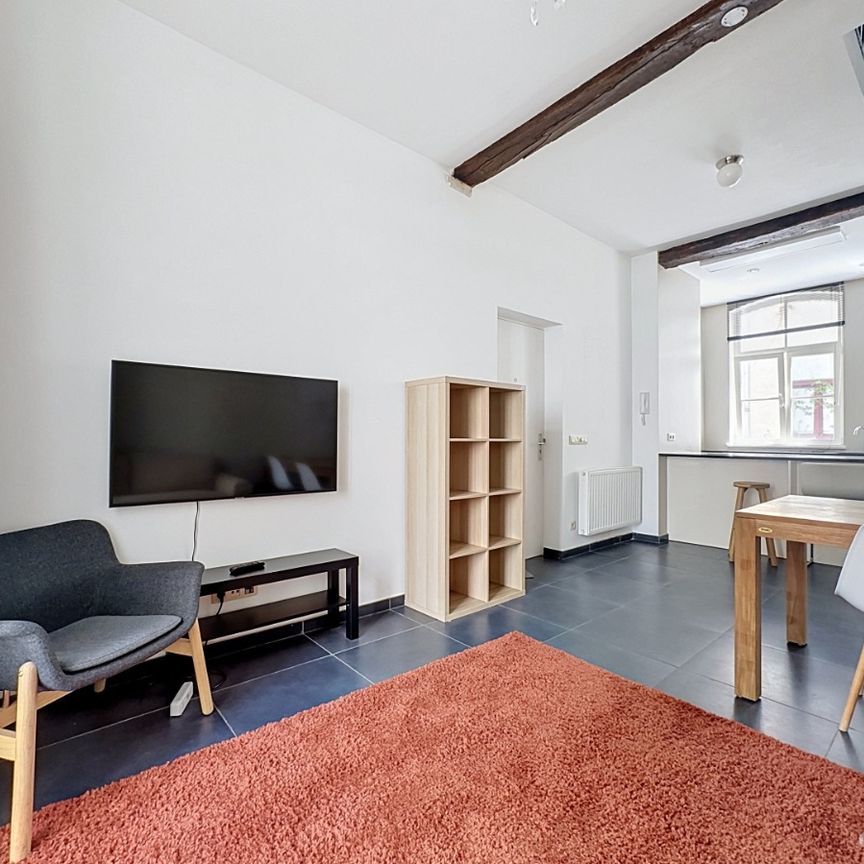 Prachtige duplex met 1slaapkamer te huur in Brussel - foto 1