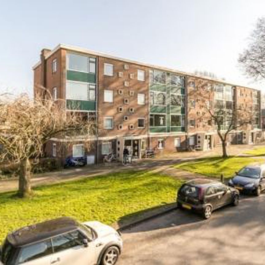 Hobbemalaan 1816 Alkmaar - Foto 1