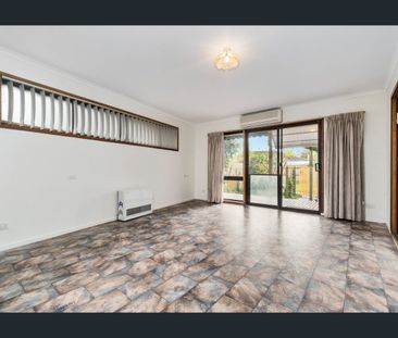 ** Recently Renovated - Large 3 Bdrm 1 Bath House - Great Location - Photo 5