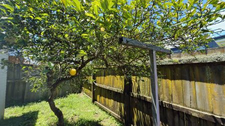 Single level family home in Pakuranga Height - Photo 3