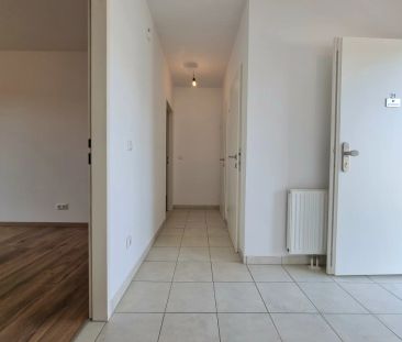 Gartenjuwel nahe Europaplatz – 3-Zimmer-Wohnung mit Terrasse & Garten - Foto 4
