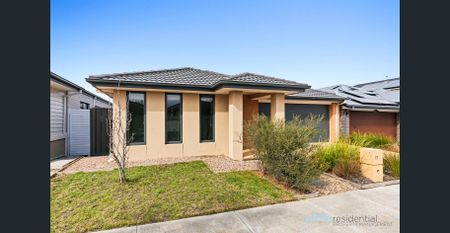 Spacious 4-bedroom family home with two living areas and alfresco - Photo 4