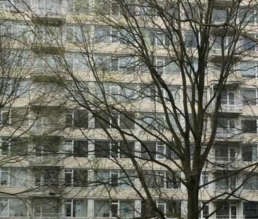 Gerstkamp 0ong, 2592 CS Den Haag, Nederland - Foto 1