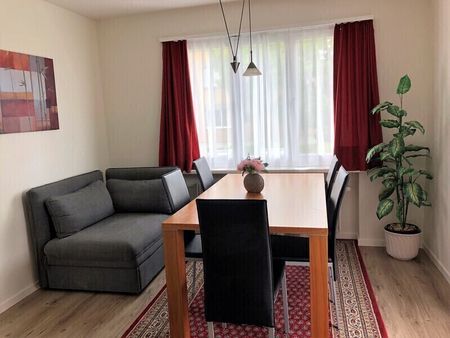 APPARTEMENT 3 PIÈCES À RAPPERSWIL (SG), MEUBLÉ, TEMPORAIRE - Foto 4